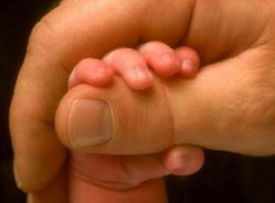 Правительство Италии вновь вернулось к вопросу равенства прав законнорожденных и внебрачных детей.